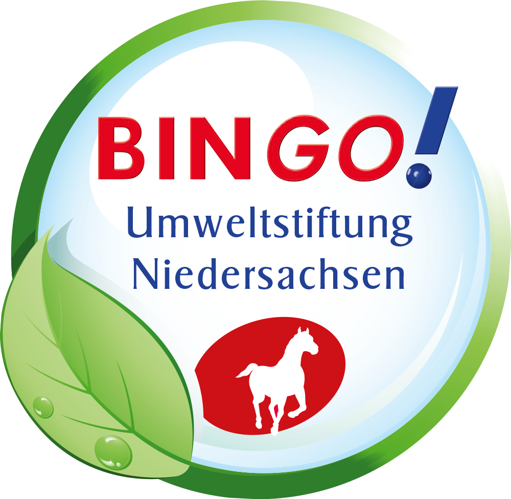 Bingo Logo